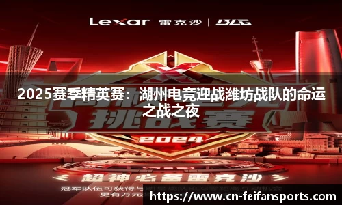 2025赛季精英赛：湖州电竞迎战潍坊战队的命运之战之夜